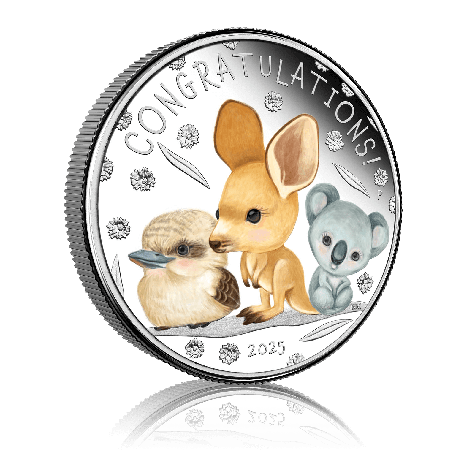 1/2oz Silver Newborn Baby Proof Coloured Coin (2025) 4
